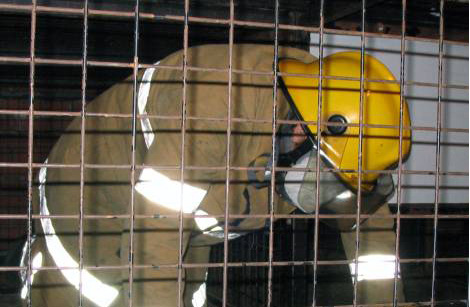 Движение в замкнутом пространстве